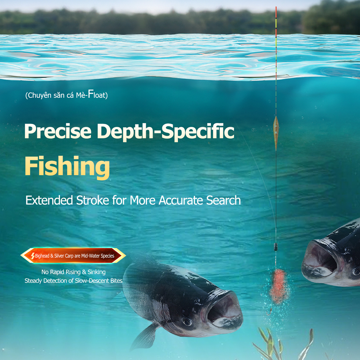 Woding Float Specially Designed for Silver and Bighead Carp