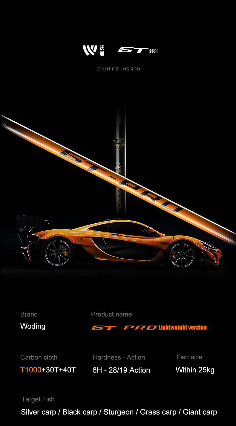 GT-Pro (14).jpg