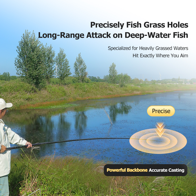 Woding Qianlong Zaiyuan (Hidden Dragon) Premium Edition Fishing Rod