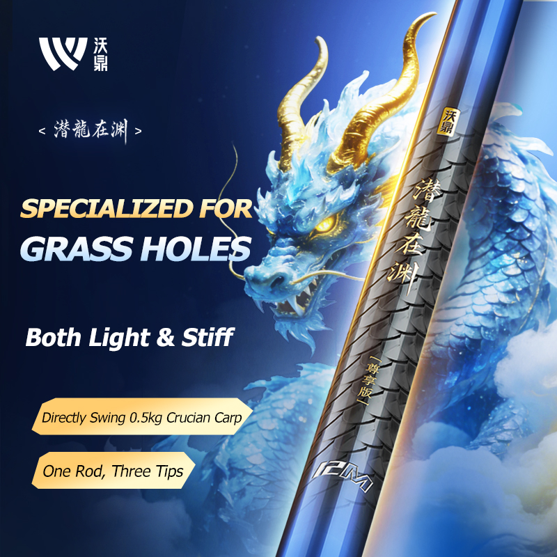 Woding Qianlong Zaiyuan (Hidden Dragon) Premium Edition Fishing Rod