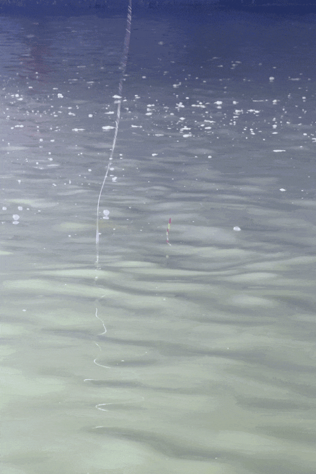 1.gif