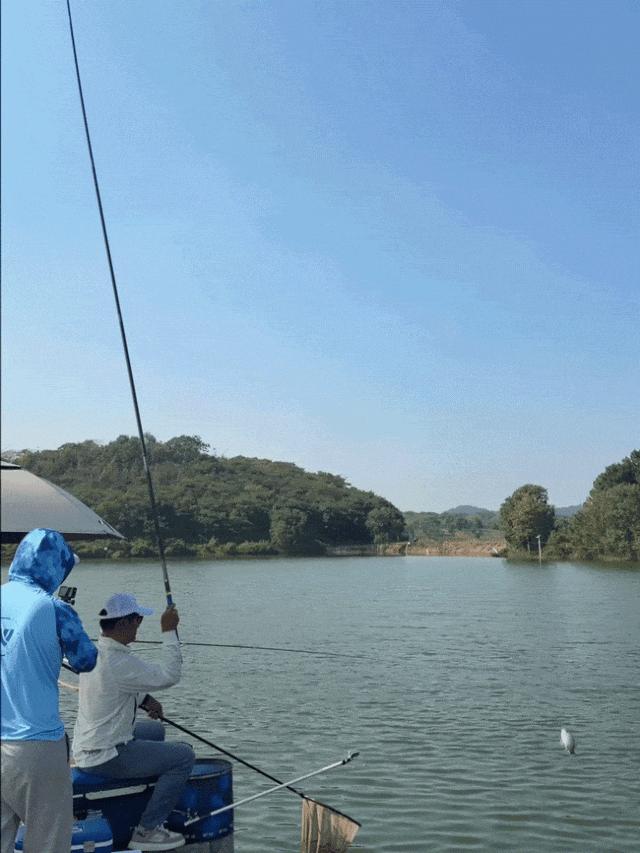 6.gif