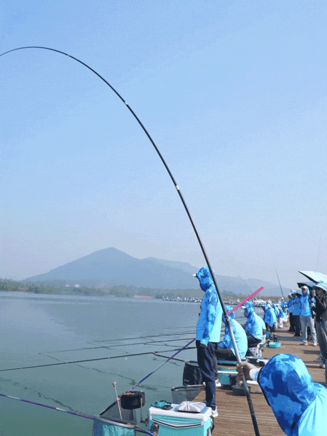 3.gif